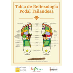 cartel reflexología podal